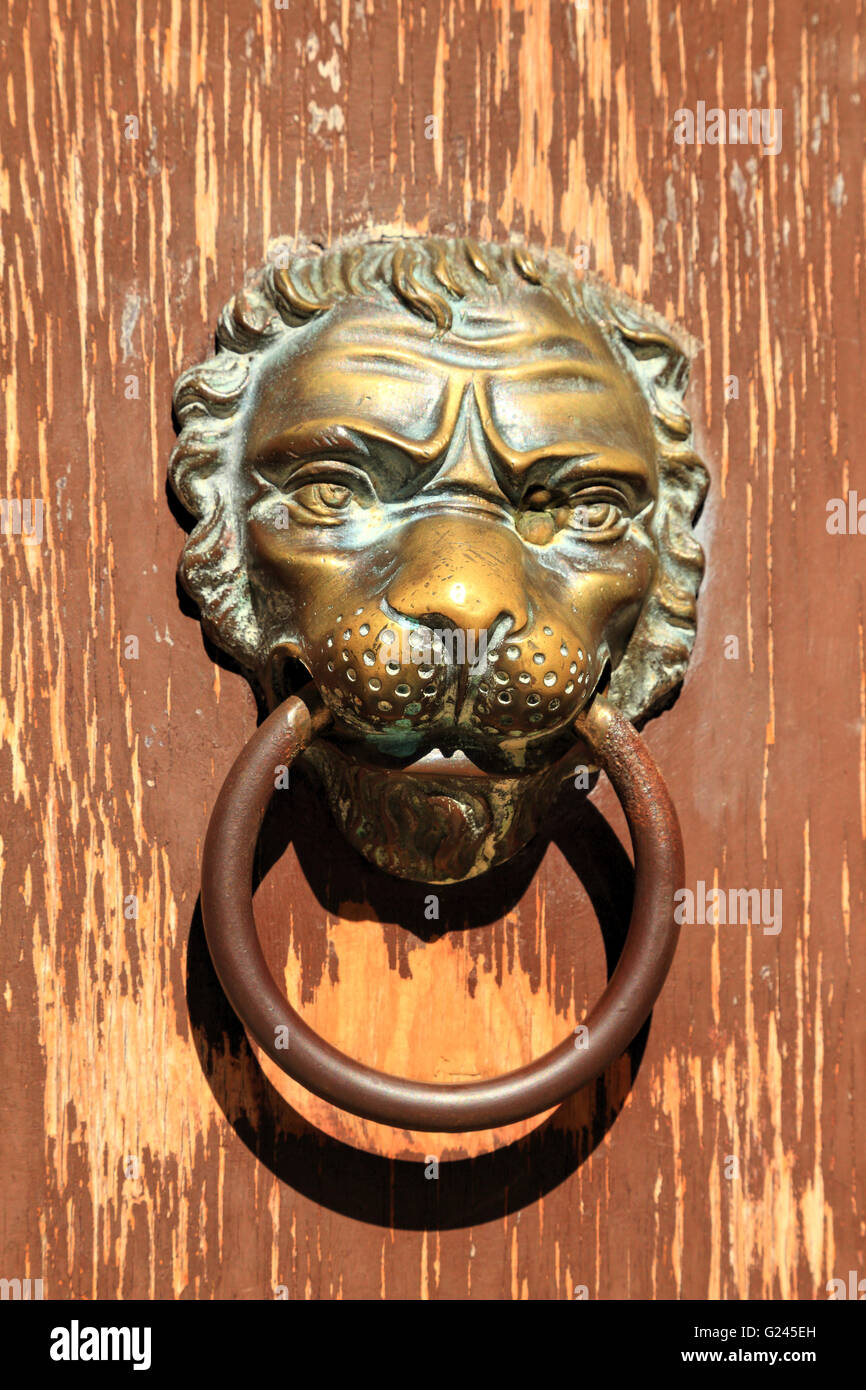 Testa leone porta respingente in Venezia Foto Stock