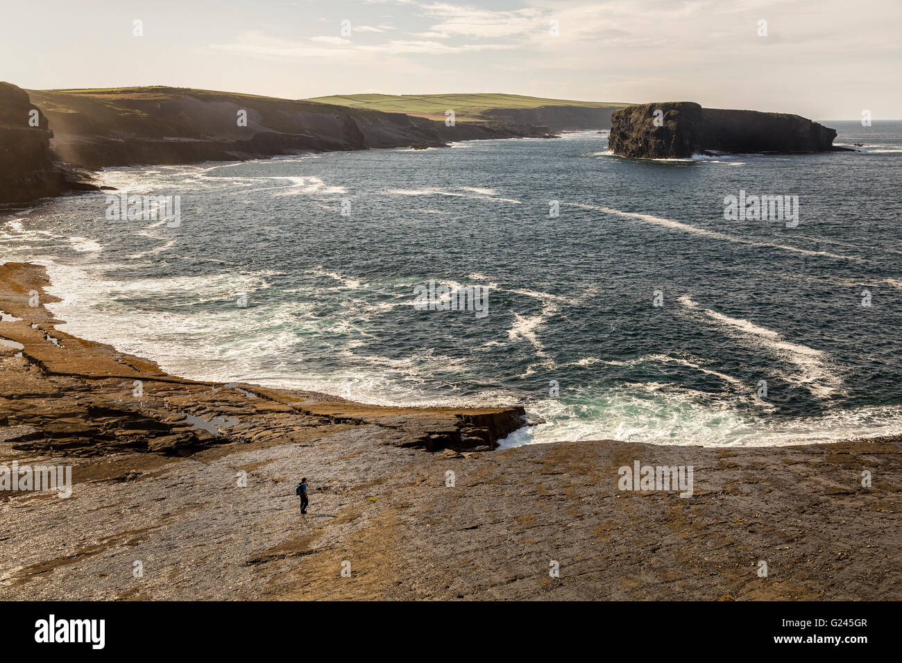 Walker per il loop della sezione di testa della costa, County Clare, Irlanda Foto Stock