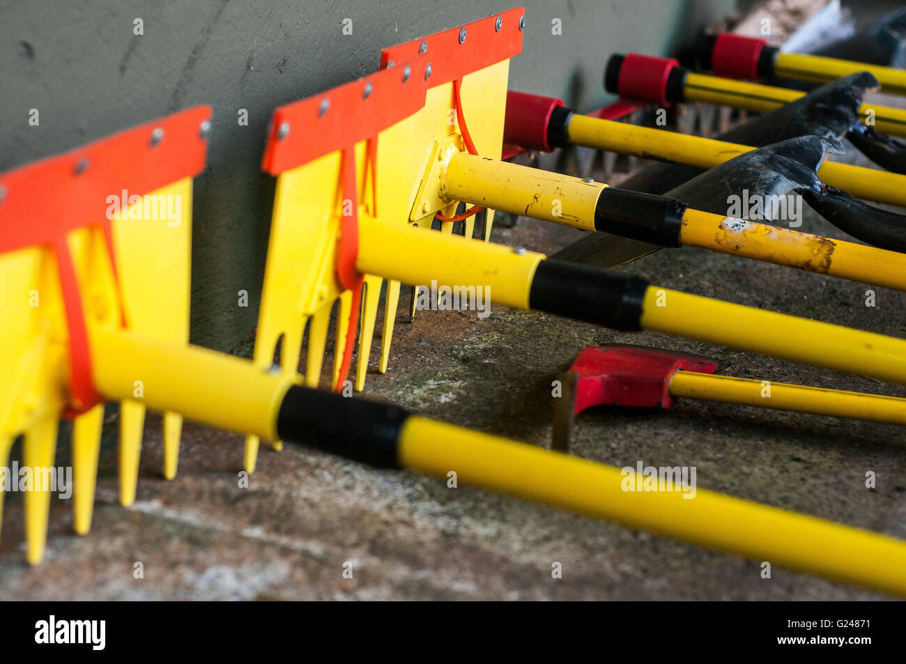 Gruppo di McLeod, Pulaski e la pala per la lotta antincendio strumenti Foto Stock