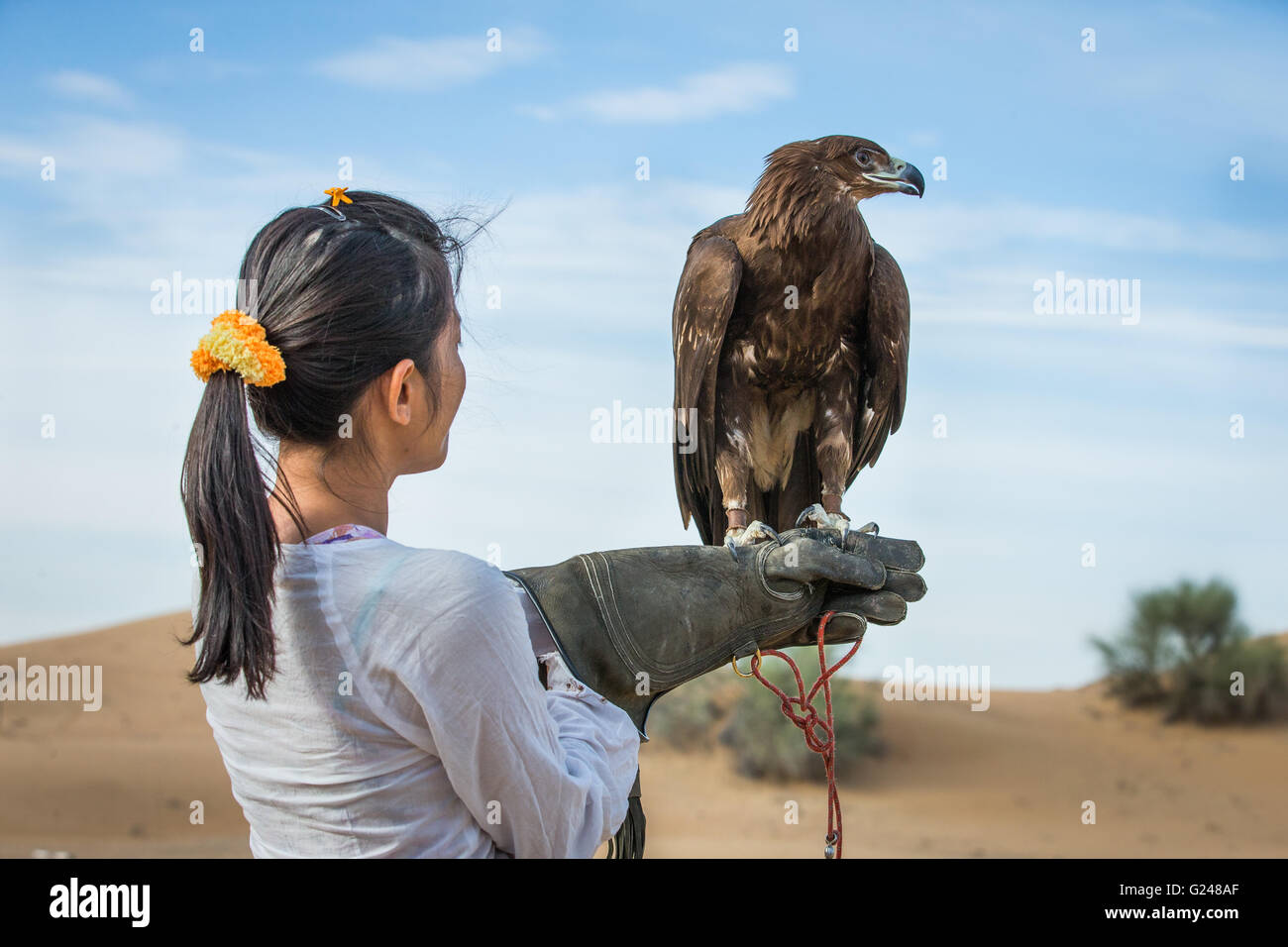 Una donna in un deserto tenendo un maggiore spotted eagle sul suo braccio Foto Stock