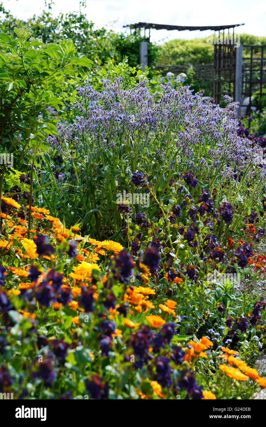 Fiori che crescono nel giardino di un cottage con tetto di paglia sulla costa sud dell'Inghilterra Foto Stock