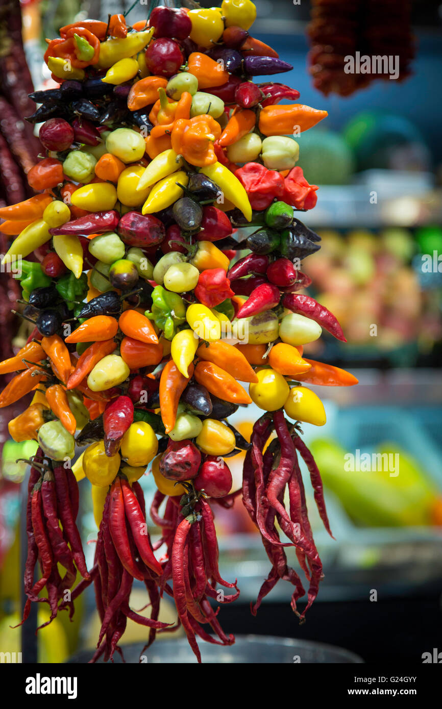 Peperoni colorati in Sant Josep Mercat, La Boqueria, Barcellona, in Catalogna, Spagna Foto Stock