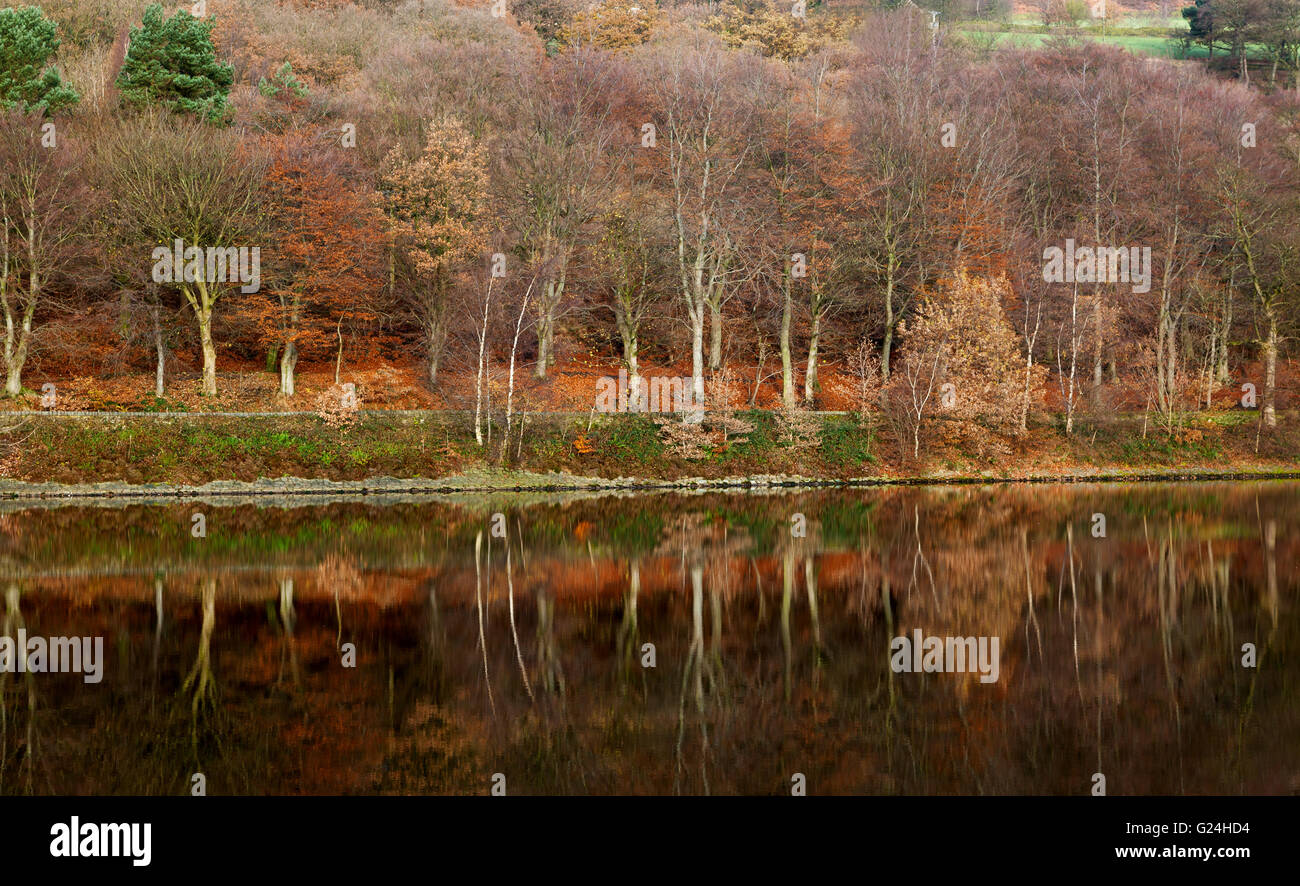 Il Lake District, noto anche come i laghi o Lakeland, è una regione montuosa nel nord ovest dell'Inghilterra. Foto Stock