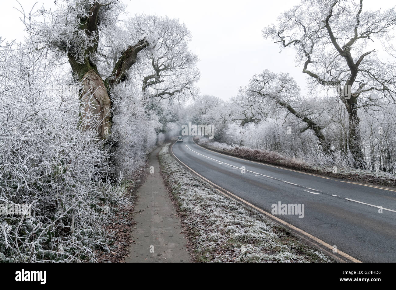 Il Cheshire è una provincia nel nord-ovest Inghilterra Foto Stock