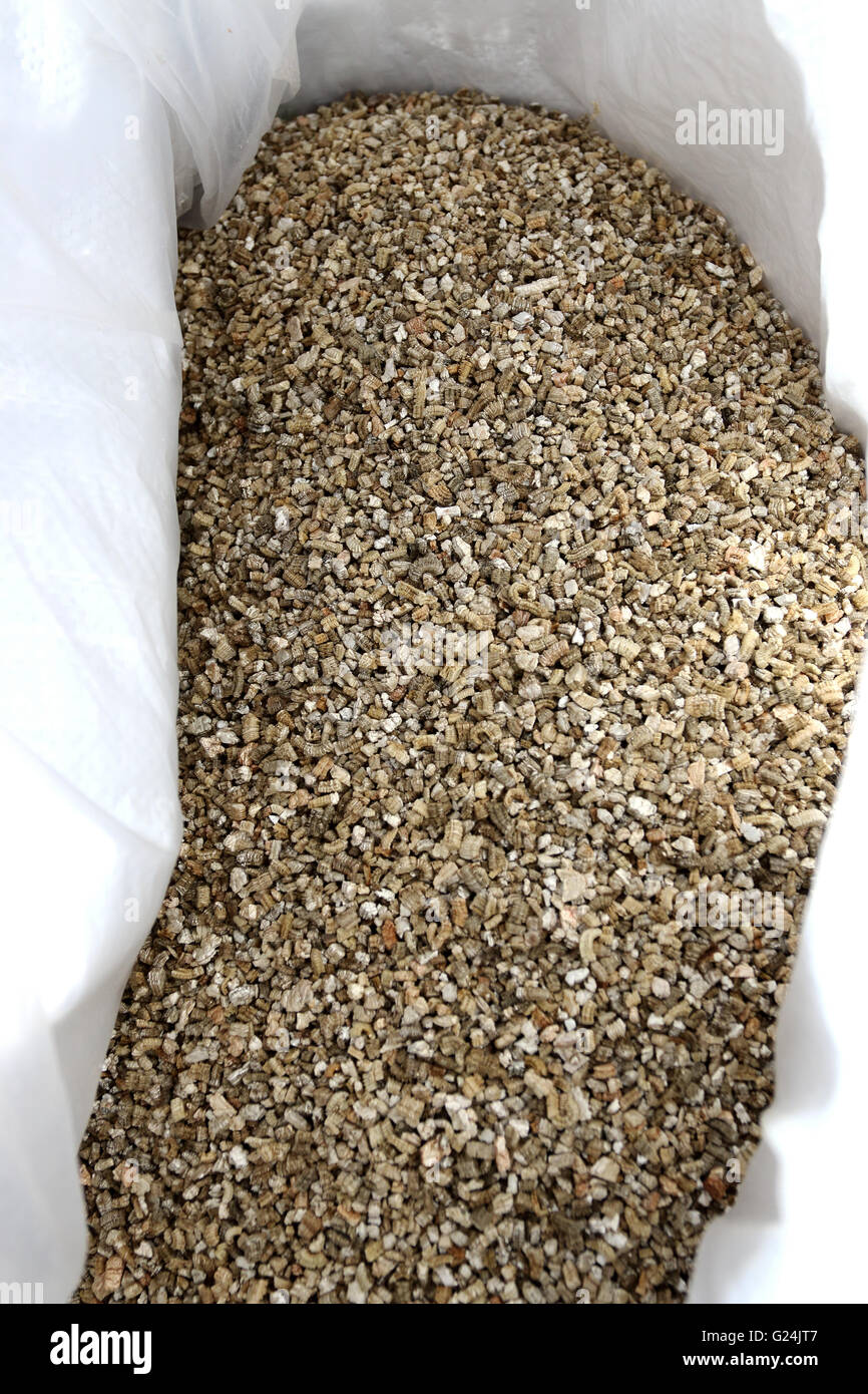 La vermiculite - Utilizzato in suoli di incapsulazione e mix di crescere Foto Stock