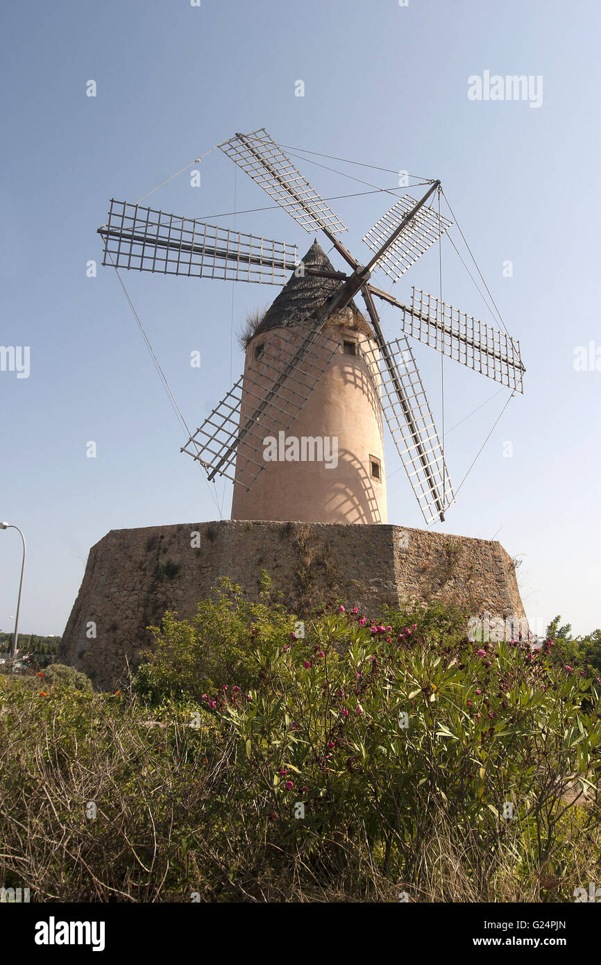 Una bella immagine di un vecchio mulino a vento con vegetazione di fronte, in Palma de Mallorca, Spagna, Mare, turismo, vacanze estate Foto Stock