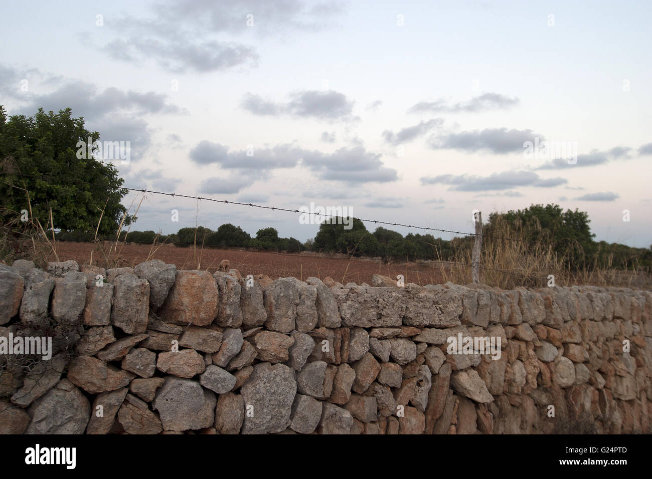 Una bella foto di un antico muro di pietra in Palma de Mallorca con un campo e gli alberi in background Foto Stock