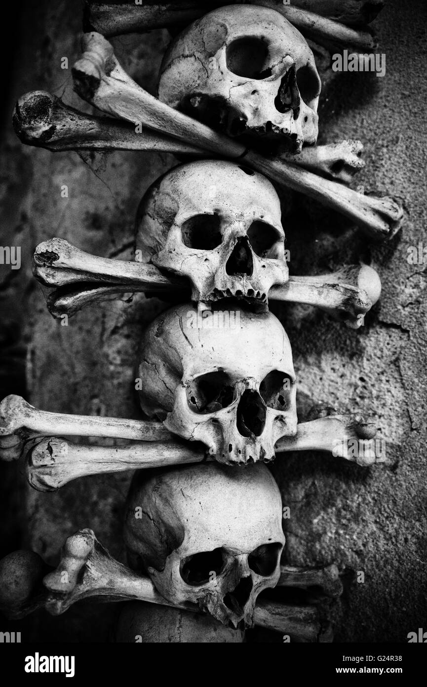 Crazy scary raccolta di cranio e ossa Foto Stock