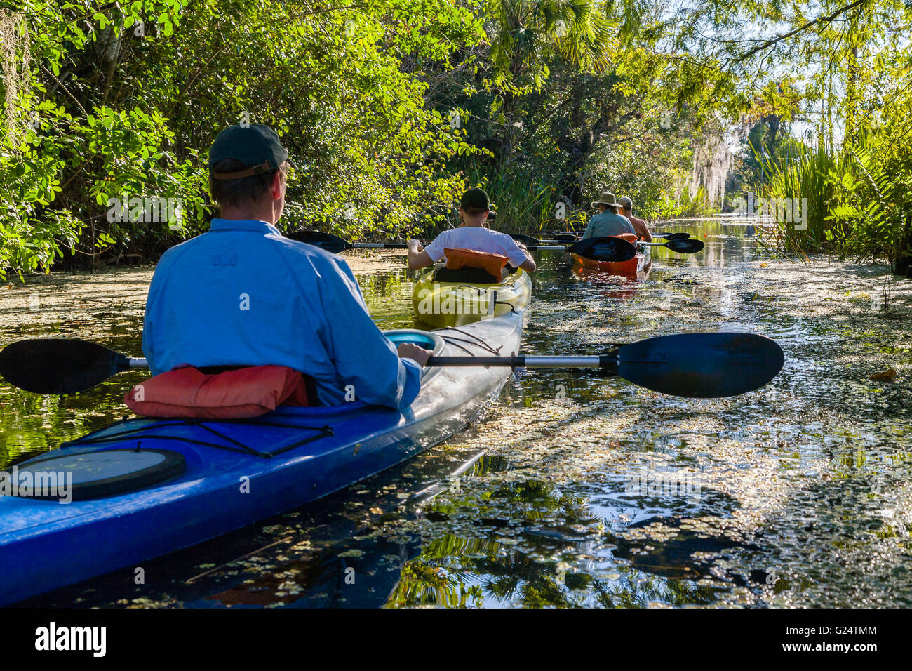 Un gruppo di rematori in kayak sulle rive di un fiume in Everglades. Foto Stock
