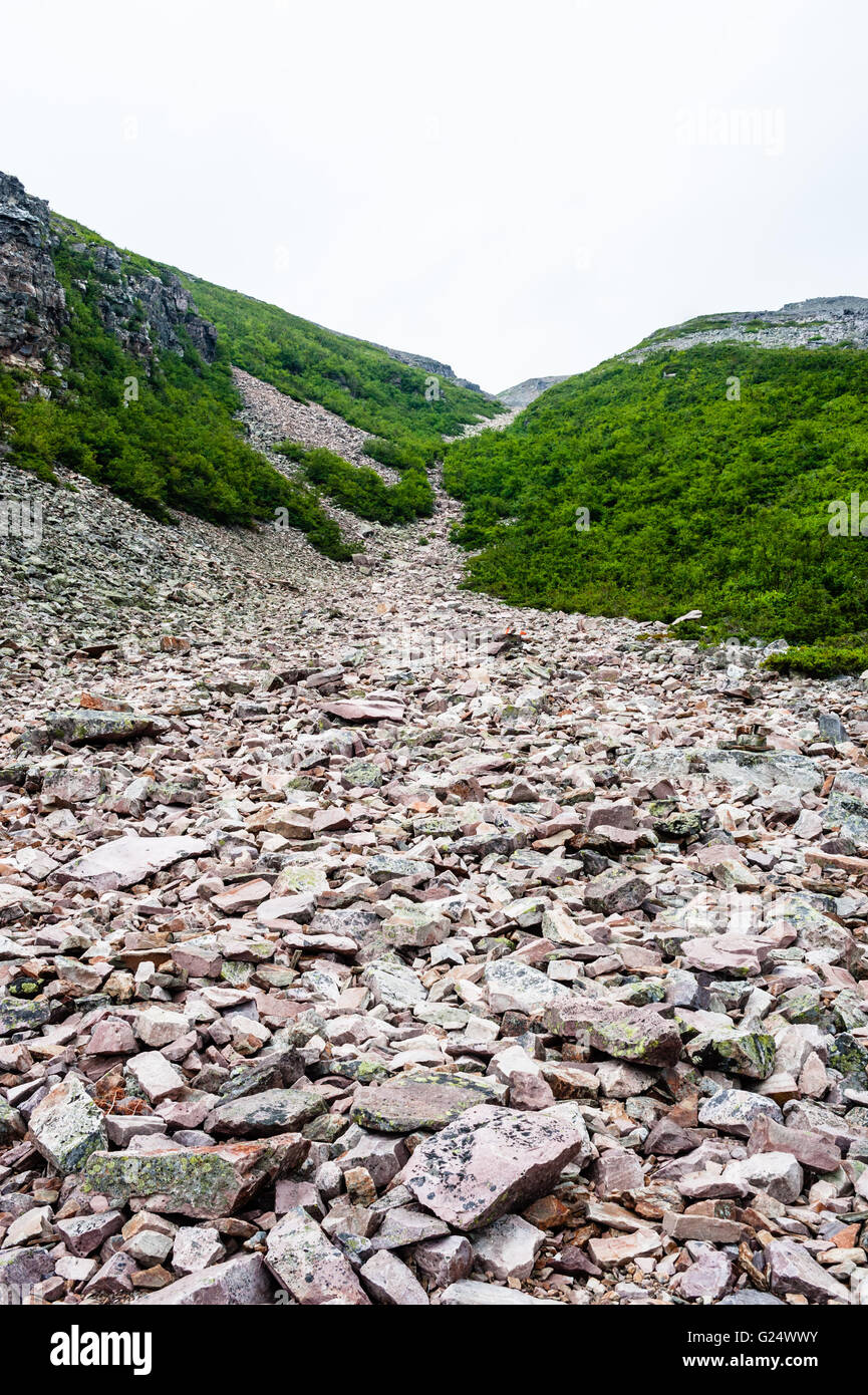 Frastagliate di macerie di rocce nel canale di frana decrescente tra le boccole dalla montagna sotto il cielo bianco, a base di Gros Morne. Foto Stock