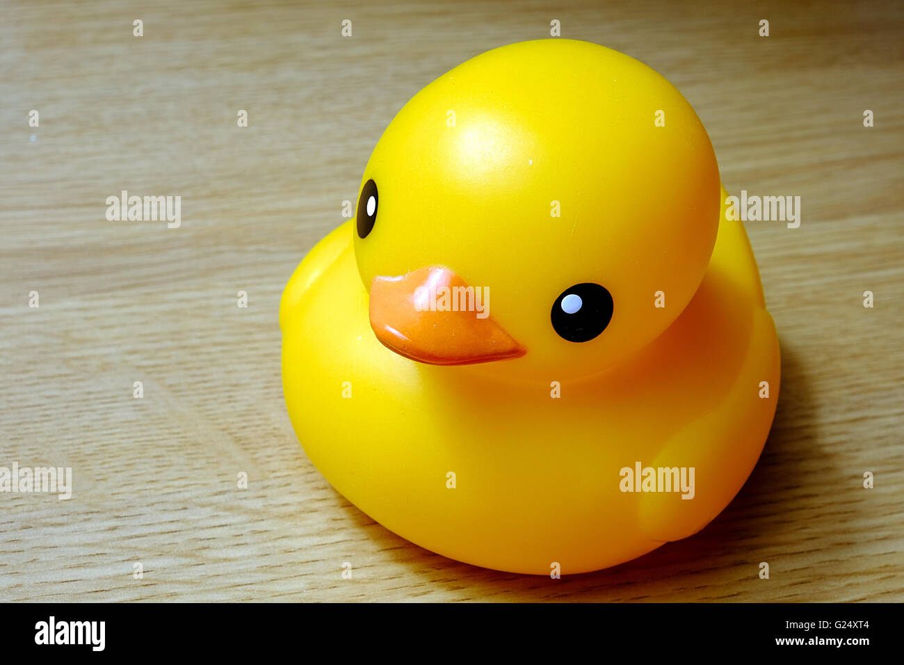 Una gomma gialla duck Foto Stock