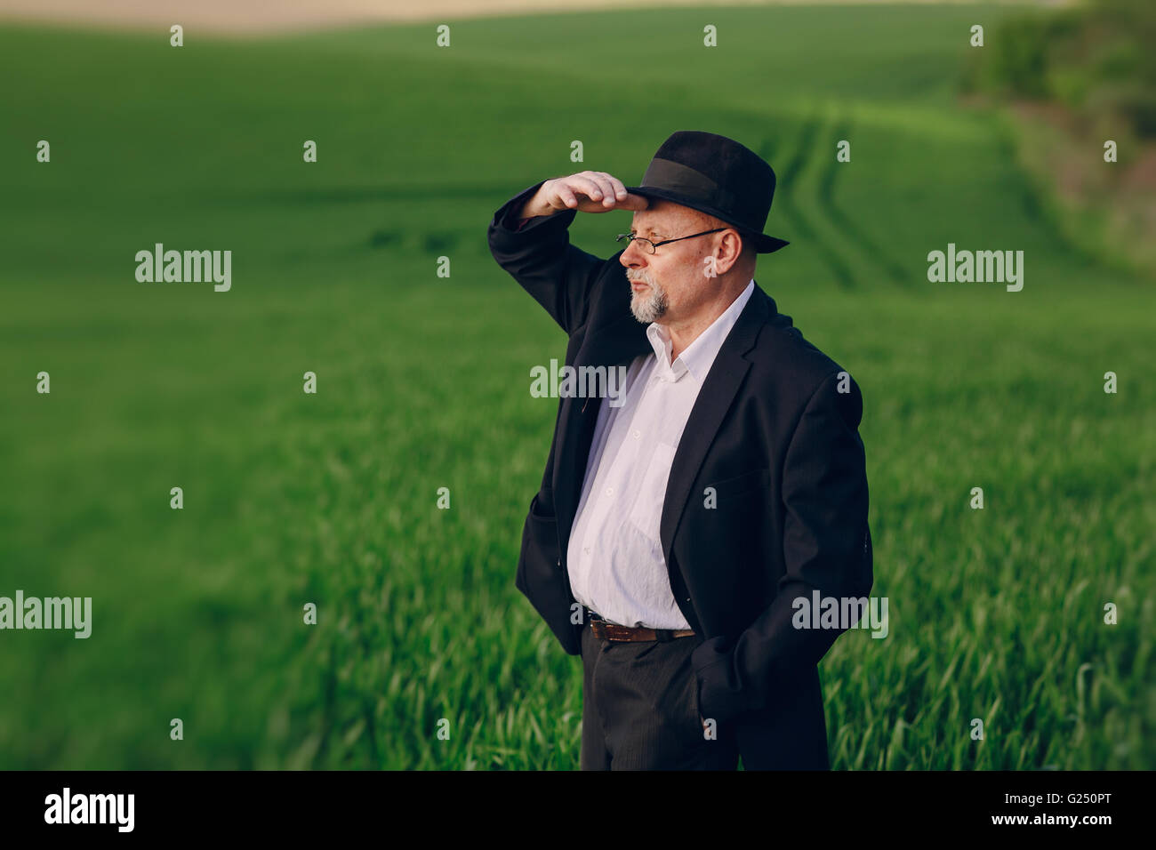 Il vecchio uomo in campo Foto Stock