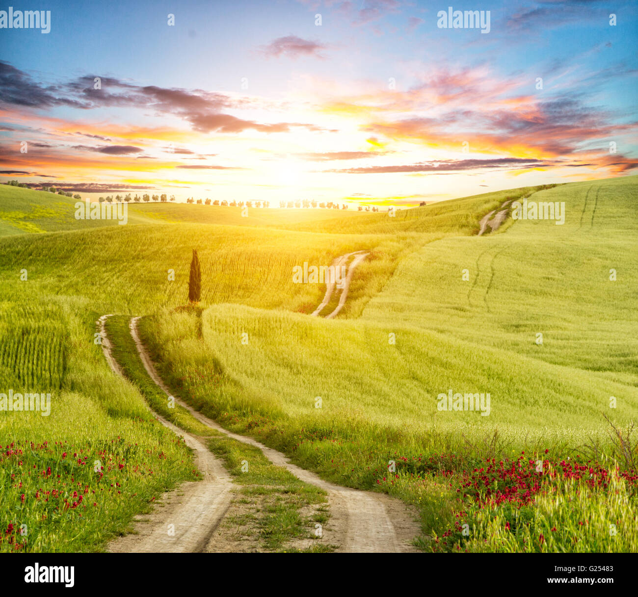 Bella Toscana paesaggio nel tramonto con via Foto Stock
