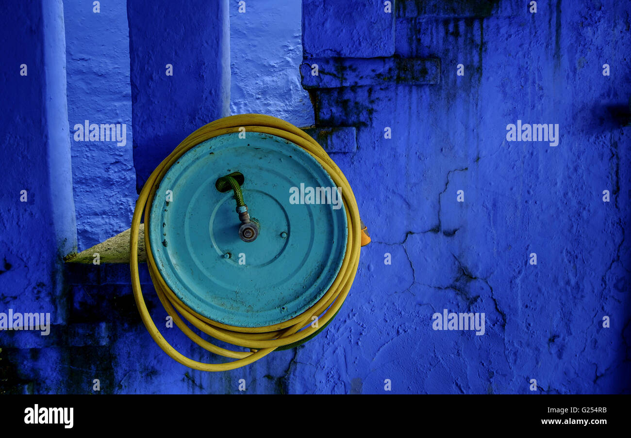 Giallo flessibile di fuoco contro una parete di blu. Foto Stock