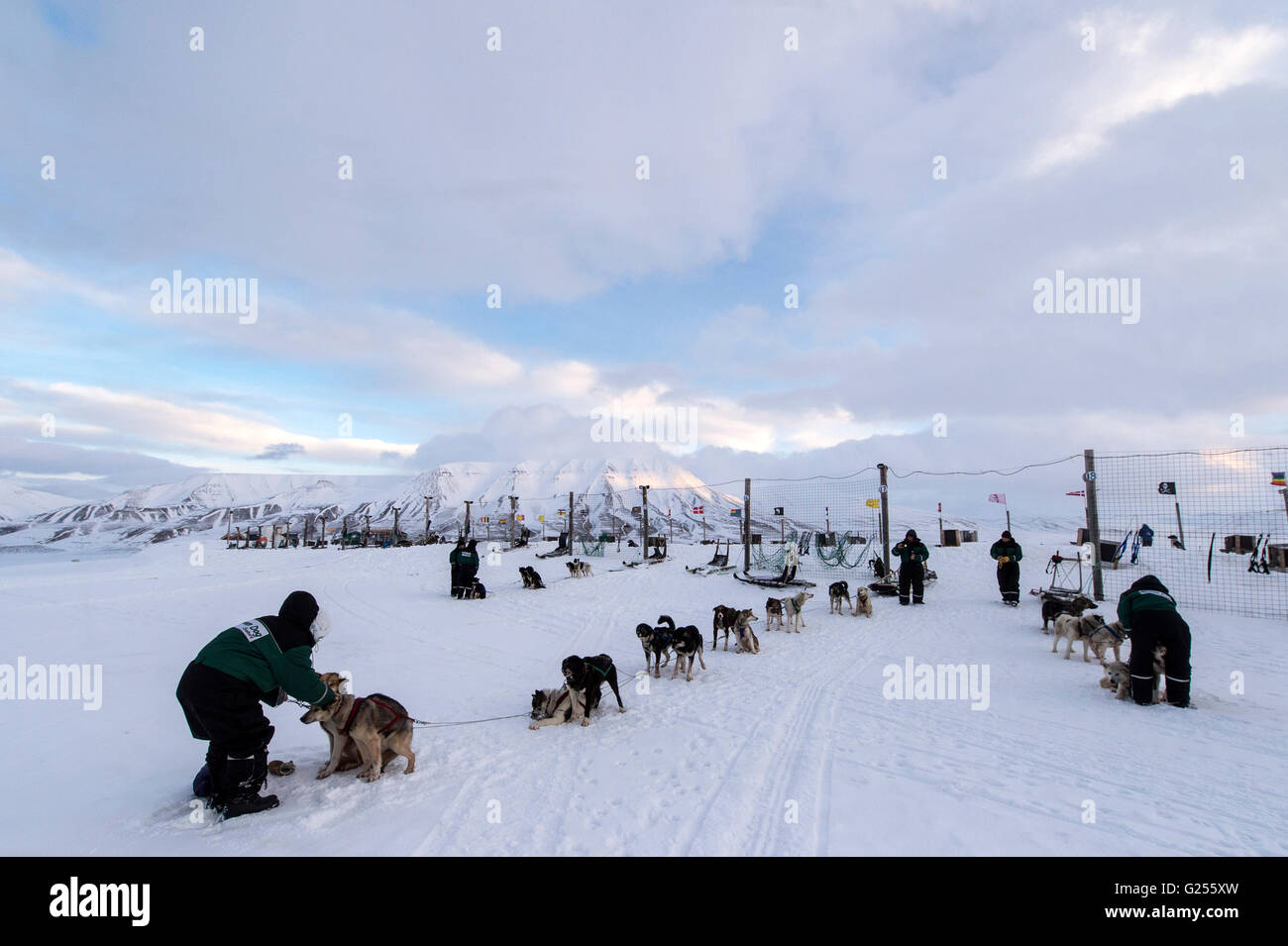 Sled Dog camp in inverno Longyearbyen, Svalbard, Spitsbergen, Norvegia Foto Stock