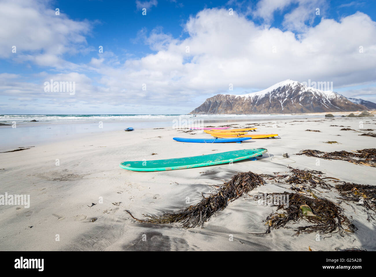 Tavole da surf in spiaggia, Isole Lofoten in Norvegia Foto Stock