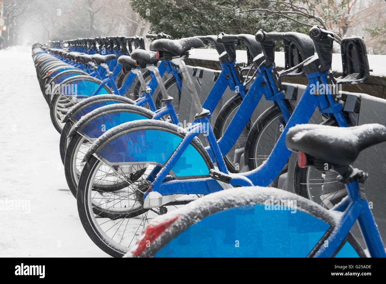 Fila di city bike nella neve Foto Stock