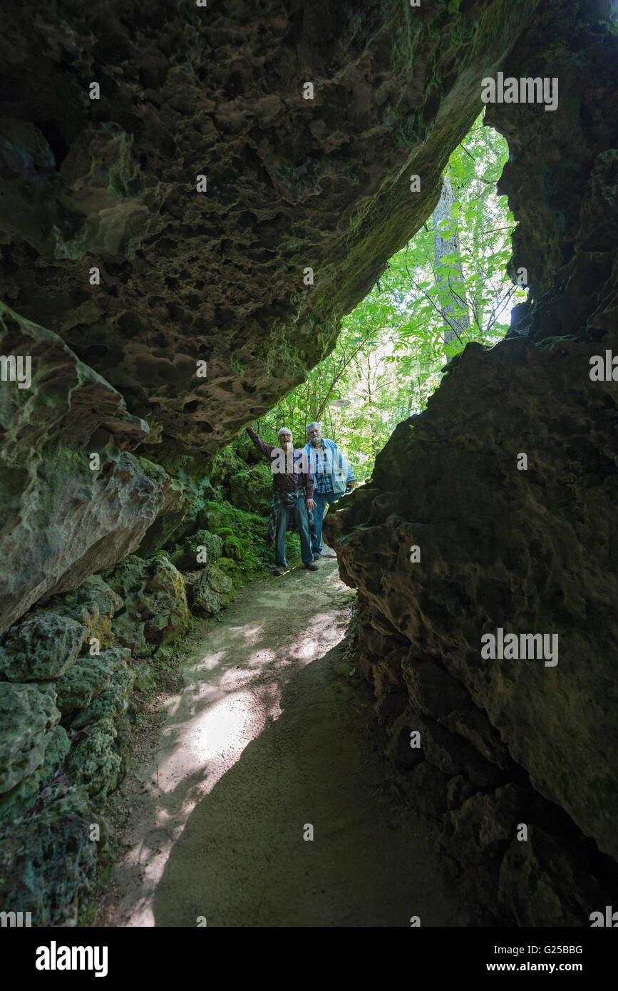 Florida Caverns State Park in Marianna, Florida. Uscita / ingresso al sistema di grotte di calcare. Foto Stock