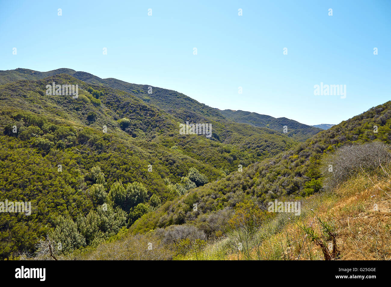 Vista panoramica di prati e colline e cielo in Malibu Foto Stock