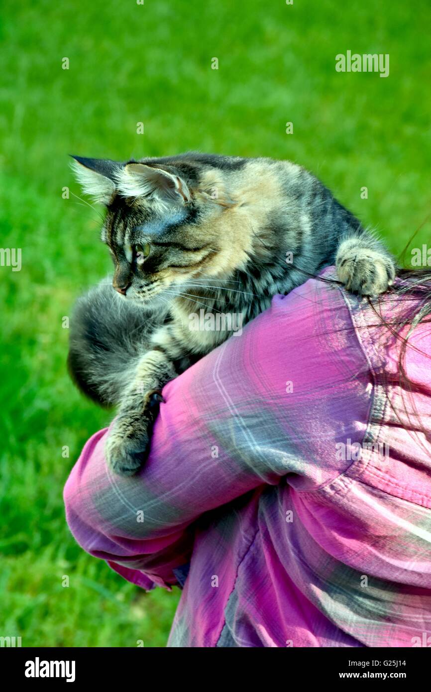 Donna che mantiene un cute cat nelle sue braccia mentre fuori nel cortile Foto Stock