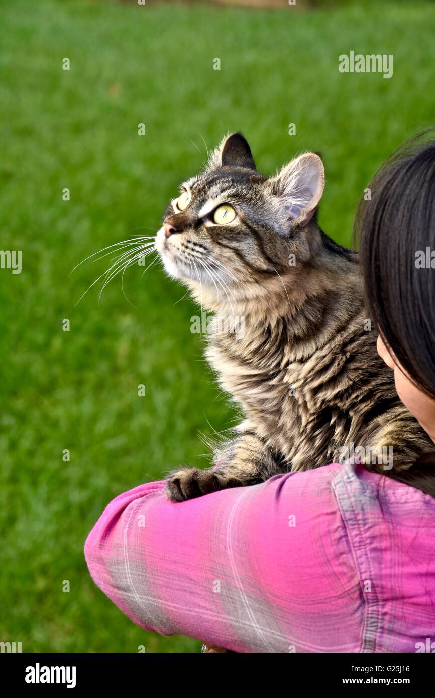 Donna che mantiene un cute cat nelle sue braccia mentre fuori nel cortile Foto Stock