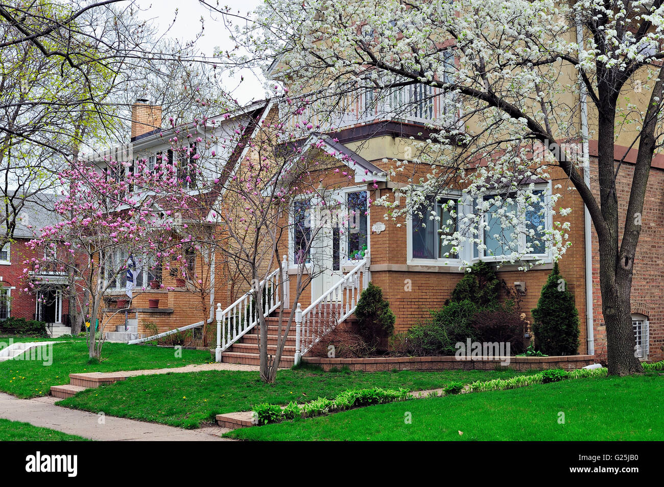 Perfettamente mantenuta nelle case in primavera in Chicago Edison Park quartiere. Chicago, Illinois, Stati Uniti d'America. Foto Stock