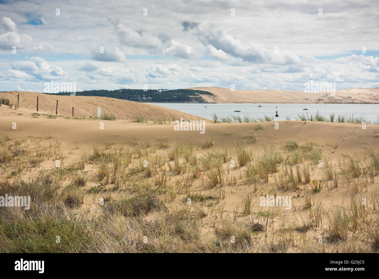 Vista della Baia di Arcachon e la duna del Pyla, Aquitaine, Francia Foto Stock