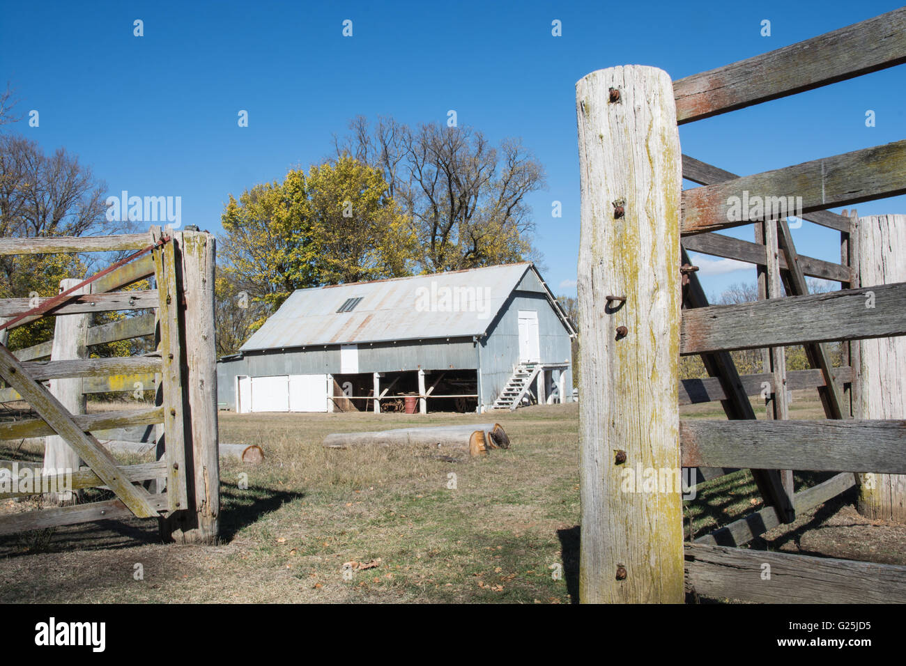 Azienda agricola, stalle e cantieri di contenimento a Saumarez, una proprietà del National Trust, Armidale NSW Australia. Foto Stock