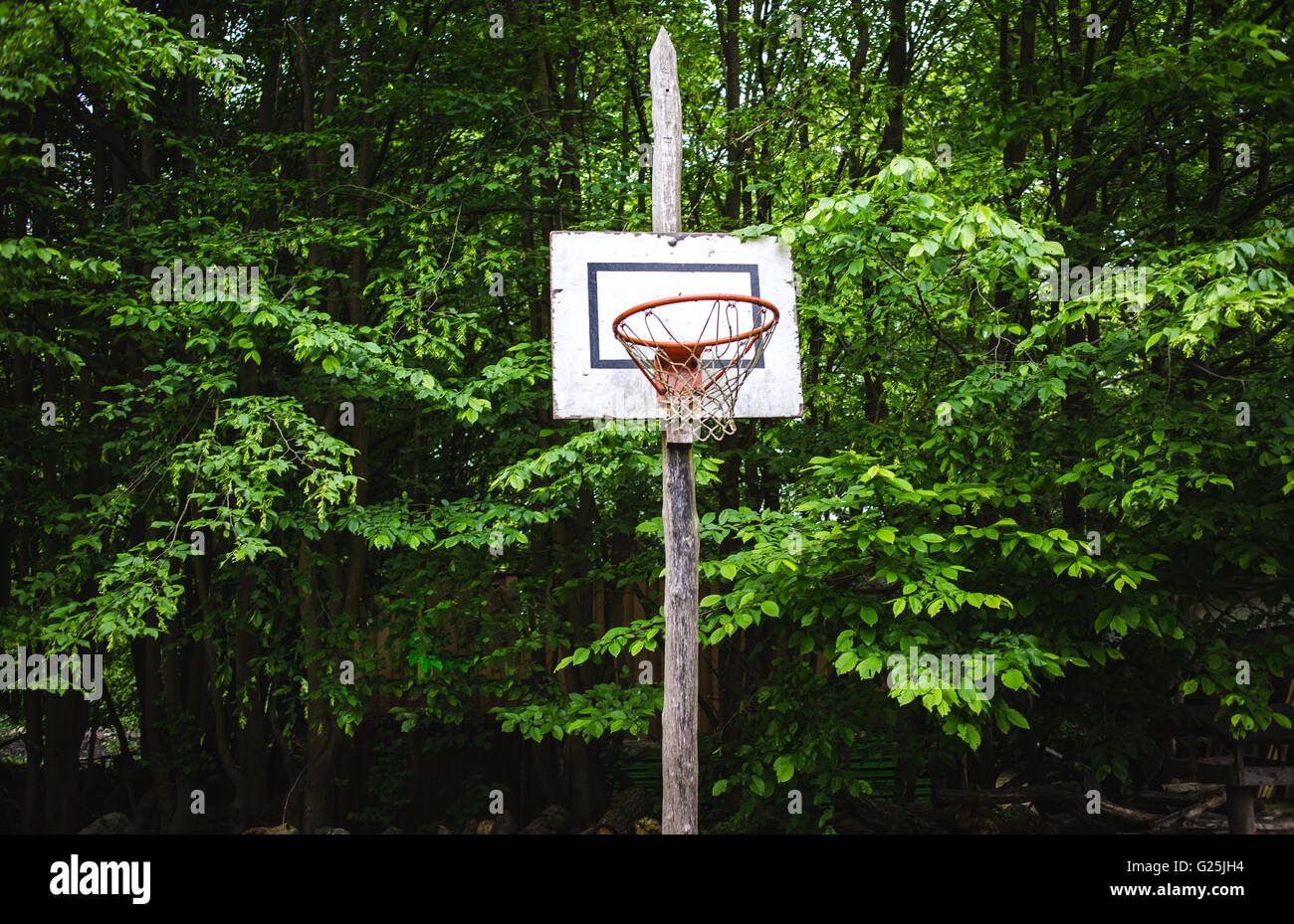 Vecchio Basketball hoop in una foresta di fronte degli alberi Foto Stock