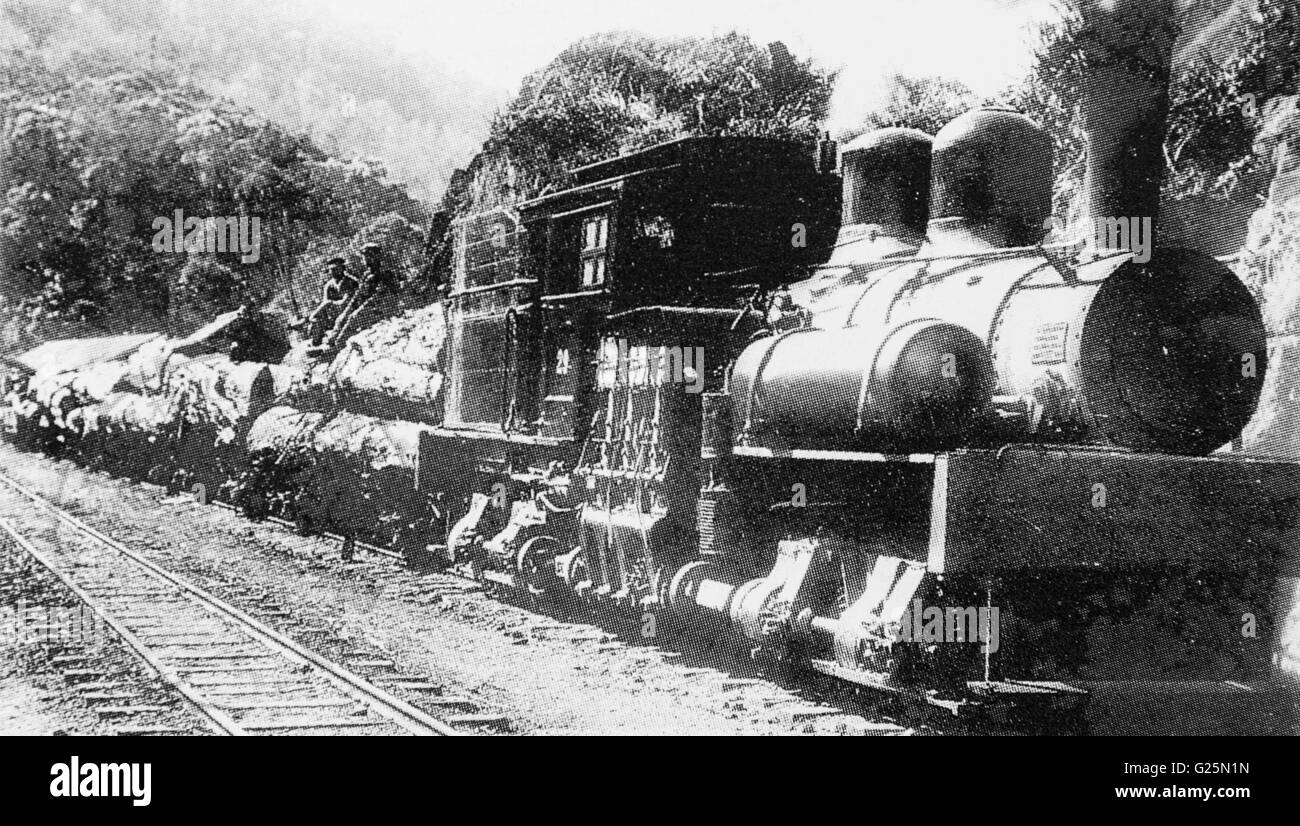Alishan Forest Railway, Taiwan, c 1921 Foto Stock