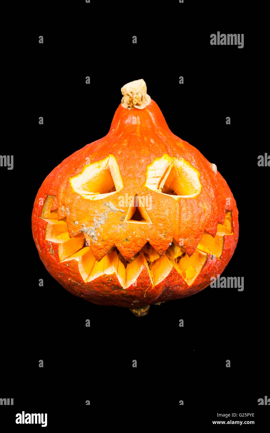 Arancione Zucca di Halloween Foto Stock
