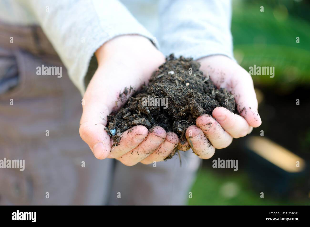 Childs mani tenendo una manciata di suolo al di fuori Foto Stock