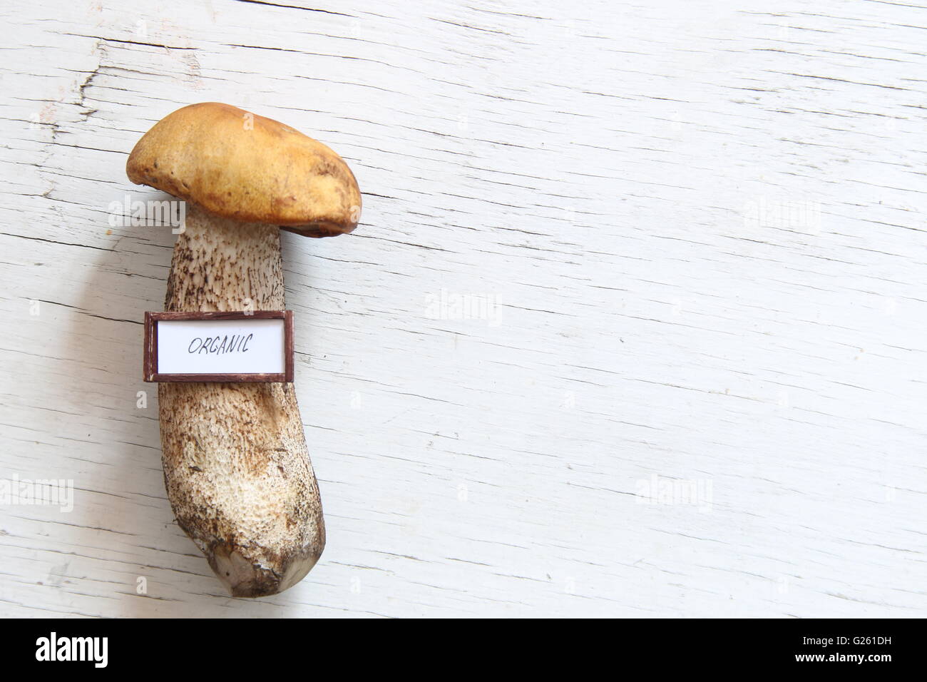 Alimenti biologici idea di funghi selvatici sul tavolo. Foto Stock