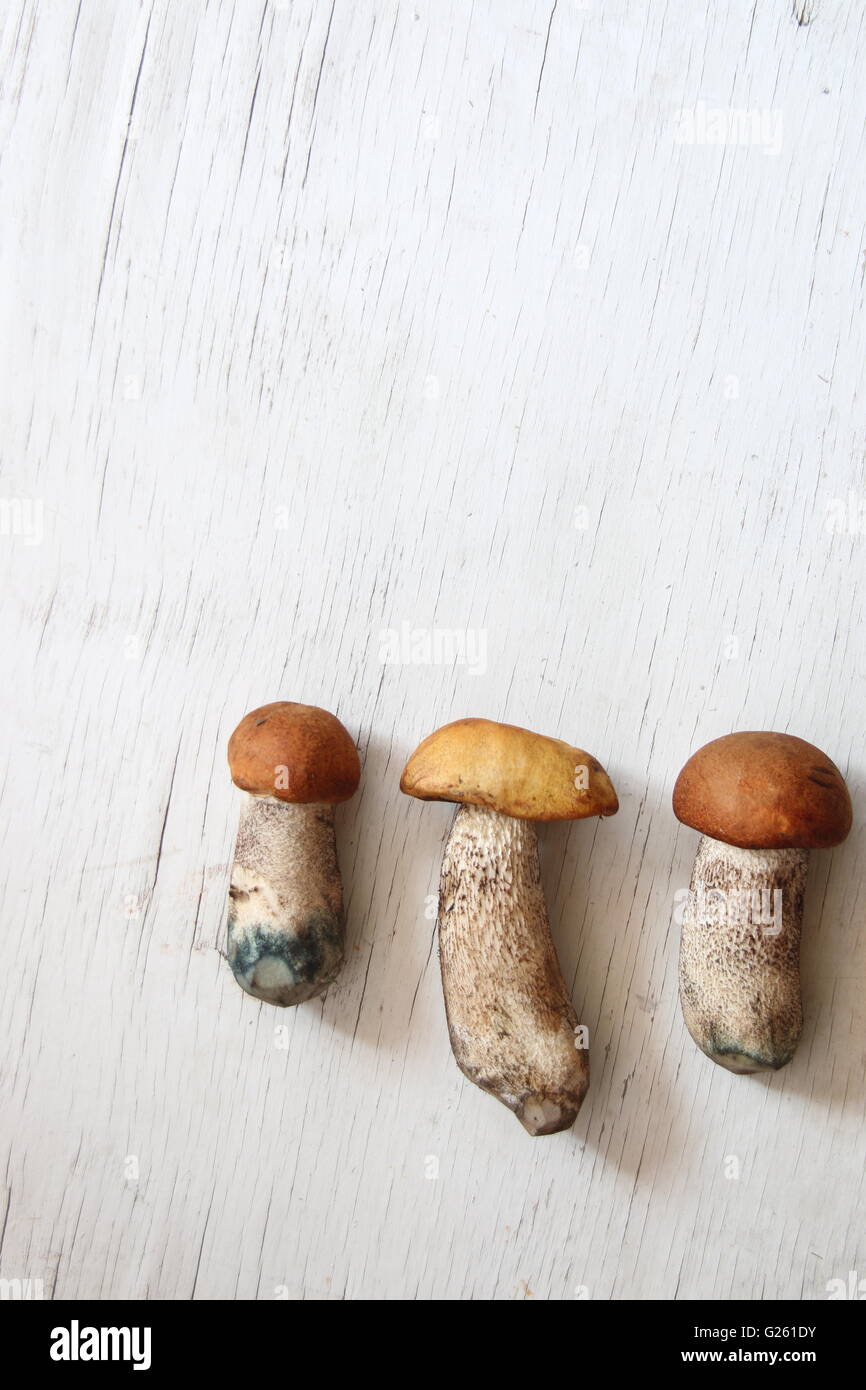 I funghi selvatici sul tavolo, sfondo alimentare Foto Stock