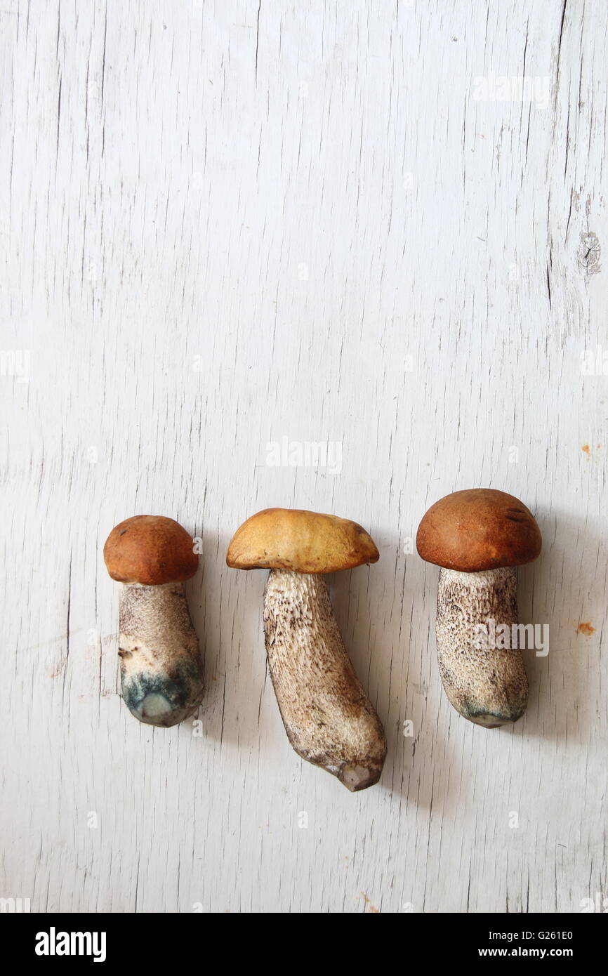 I funghi selvatici sul tavolo Foto Stock