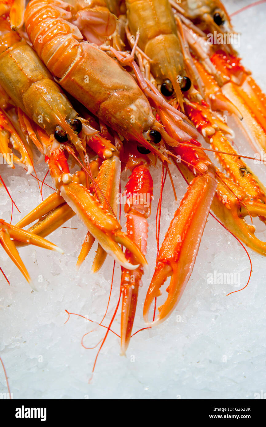 Gruppo di prodotti freschi scampi posti su ghiaccio pronto per essere venduto Foto Stock