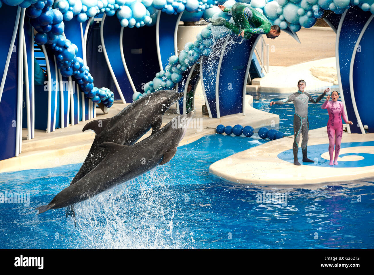 I delfini al mondo del mare Foto Stock