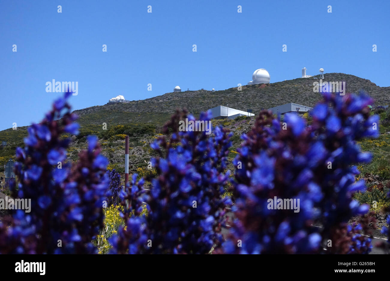 Vista di Roque de los Muchachos Osservatorio sulle isole canarie La Palma, Spagna, 23 maggio 2016. Diversi osservatori di diversi paesi europei nel Parco Nazionale de La Caldera de Taburiente Consenti ricerca astrofisica misure con particolare chiarezza dell'aria. Foto: Jens KALAENE/dpa - nessun filo SERVICE - Foto Stock