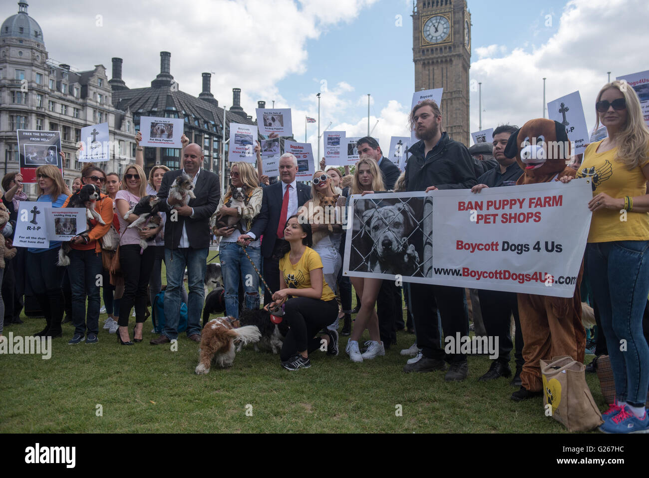 Londra, Regno Unito. Xxiv Maggio, 2016. Cucciolo di protesta di allevamento al di fuori del Parlamento Credito: Ian Davidson/Alamy Live News Foto Stock