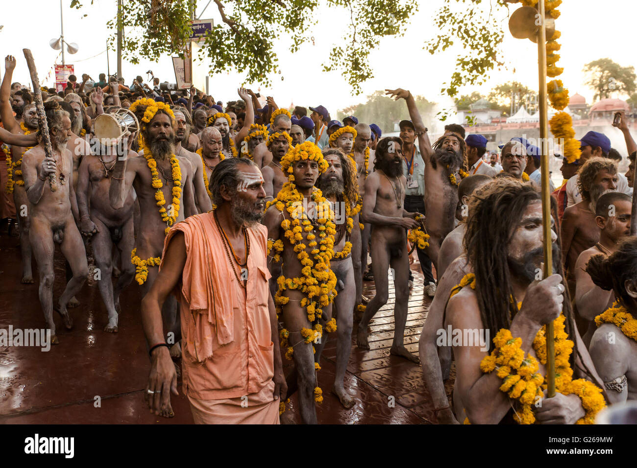 Ujjain, Madhya Pradesh, India, 21 Maggio 2016: Santi monaci Indù (Naga Sadhus) stanno andando a prendere santo tuffo nelle prime ore del mattino nella paura di fiume Shipra, noto anche come Kshipra il giorno della conclusione del mese lungo Simhasth Mahakumbh nell antica città religiosa Ujjain, India. Simhasth Kumbh Mahaparv è uno dei quattro Kumbh Melas celebrata dal più grande raduno spirituale sul Pianeta Terra. Questo anno il Kumbh Simhasth Maha Parva è basata sul pianeta la line-up di pianeti e i segni dello zodiaco, che si verifica ogni 12 anni. Questo anno Simhasth Kumbh Mahaparv ha avuto luogo dal 22 aprile al 21 maggio. Il c Foto Stock