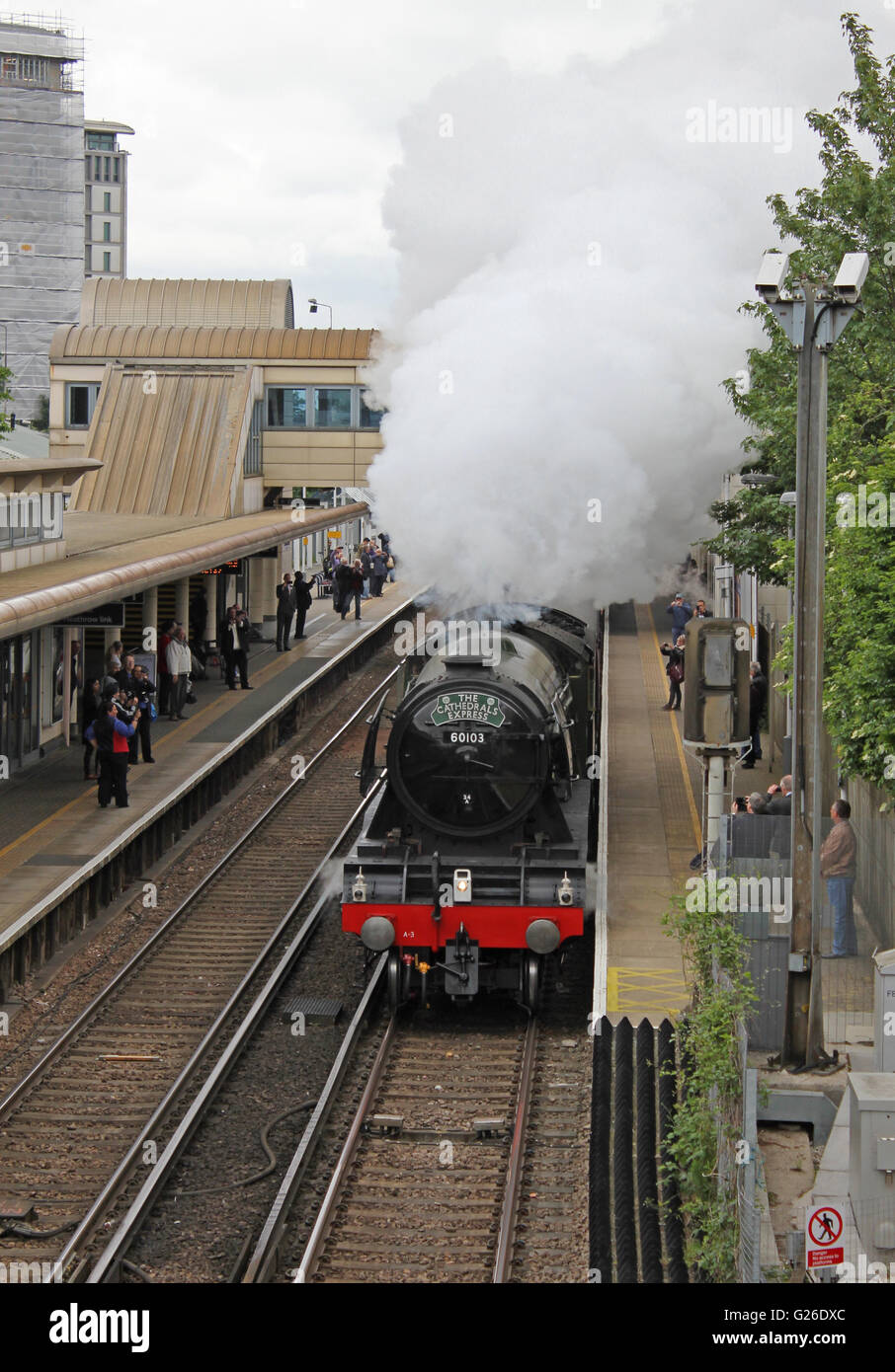 Feltham, Hounslow, London, Regno Unito. Il 25 maggio 2016. Il Flying Scotsman ondeggianti del vapore che passa attraverso la stazione di Feltham, Londra, Regno Unito. Questo era sulla gamba verso l'esterno di un viaggio da Londra Victoria sud a Guildford, attraverso le colline del Surrey e ritornare a Londra via Croydon. Credito: Julia Gavin UK/Alamy Live News Foto Stock