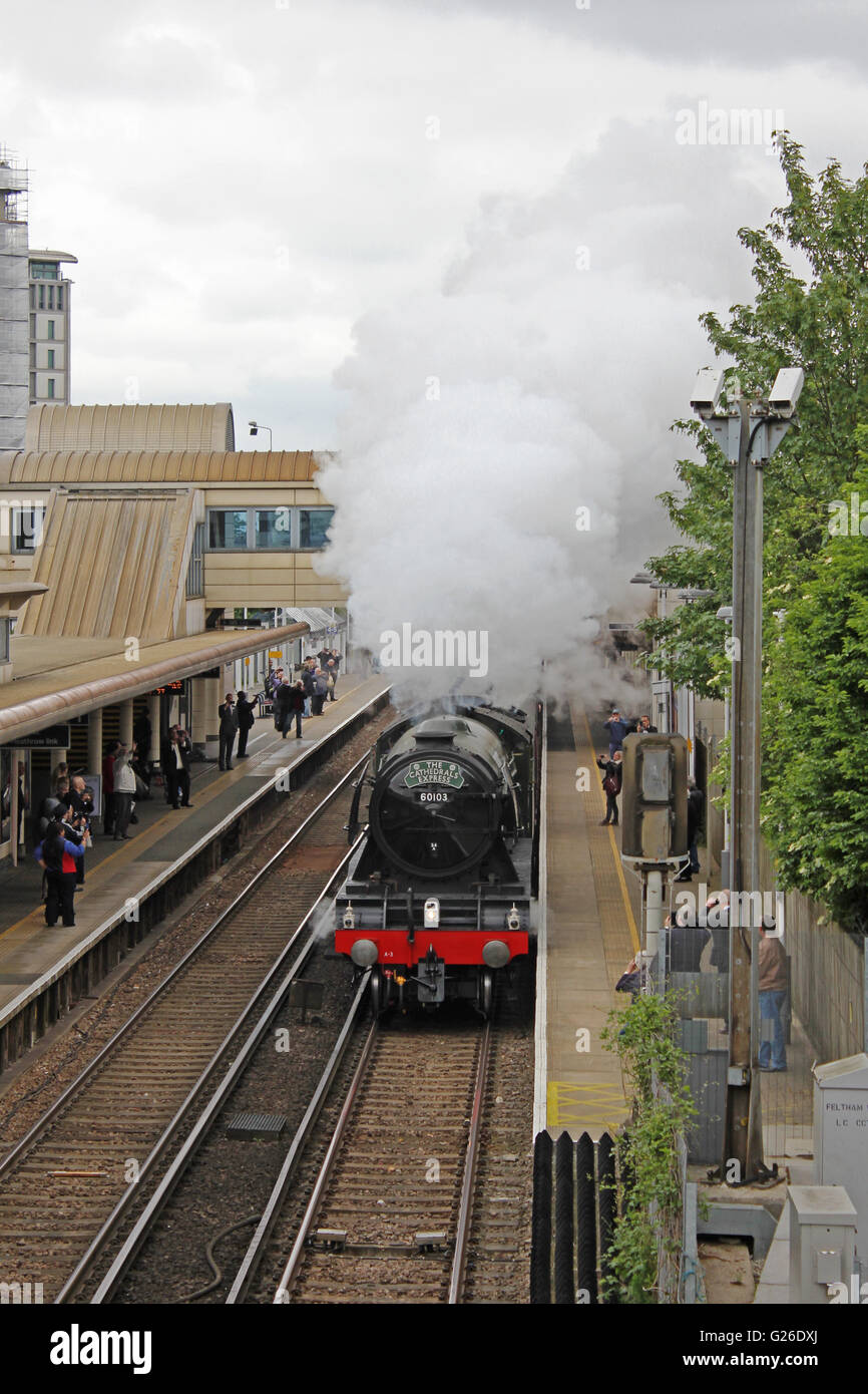 Feltham, Hounslow, London, Regno Unito. Il 25 maggio 2016. Il Flying Scotsman ondeggianti del vapore che passa attraverso la stazione di Feltham, Londra, Regno Unito. Questo era sulla gamba verso l'esterno di un viaggio da Londra Victoria sud a Guildford, attraverso le colline del Surrey e ritornare a Londra via Croydon. Credito: Julia Gavin UK/Alamy Live News Foto Stock