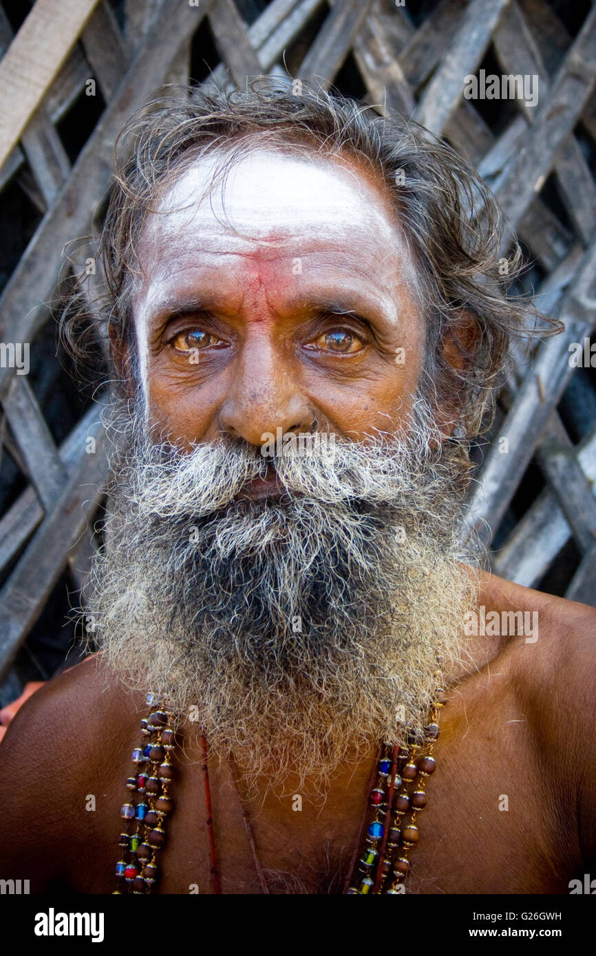 Sadhu indù (sanscrito sādhu, "buone; buon uomo, uomo santo') Sadhus sono sannyasins (renunciates) Foto Stock