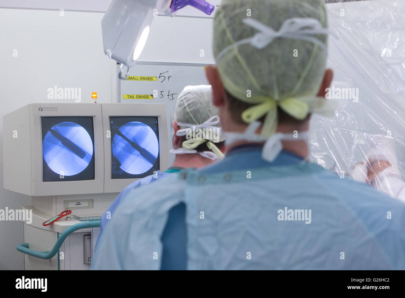 I chirurghi ospedalieri studiare i raggi X di un paziente durante un'operazione all'anca Foto Stock