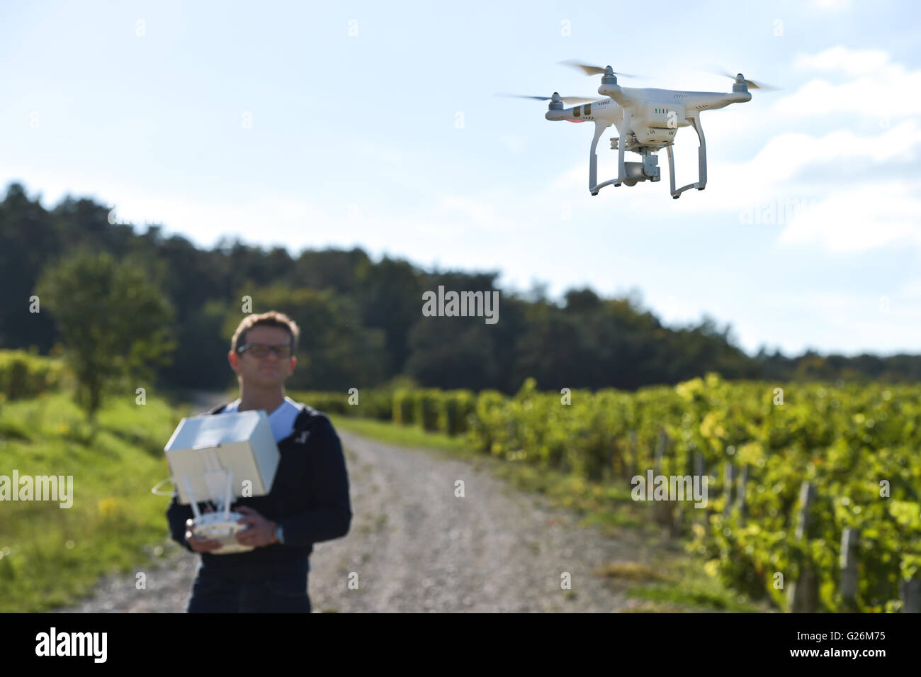 L'uomo flying drone in vigneto, Champagne, Francia Foto Stock