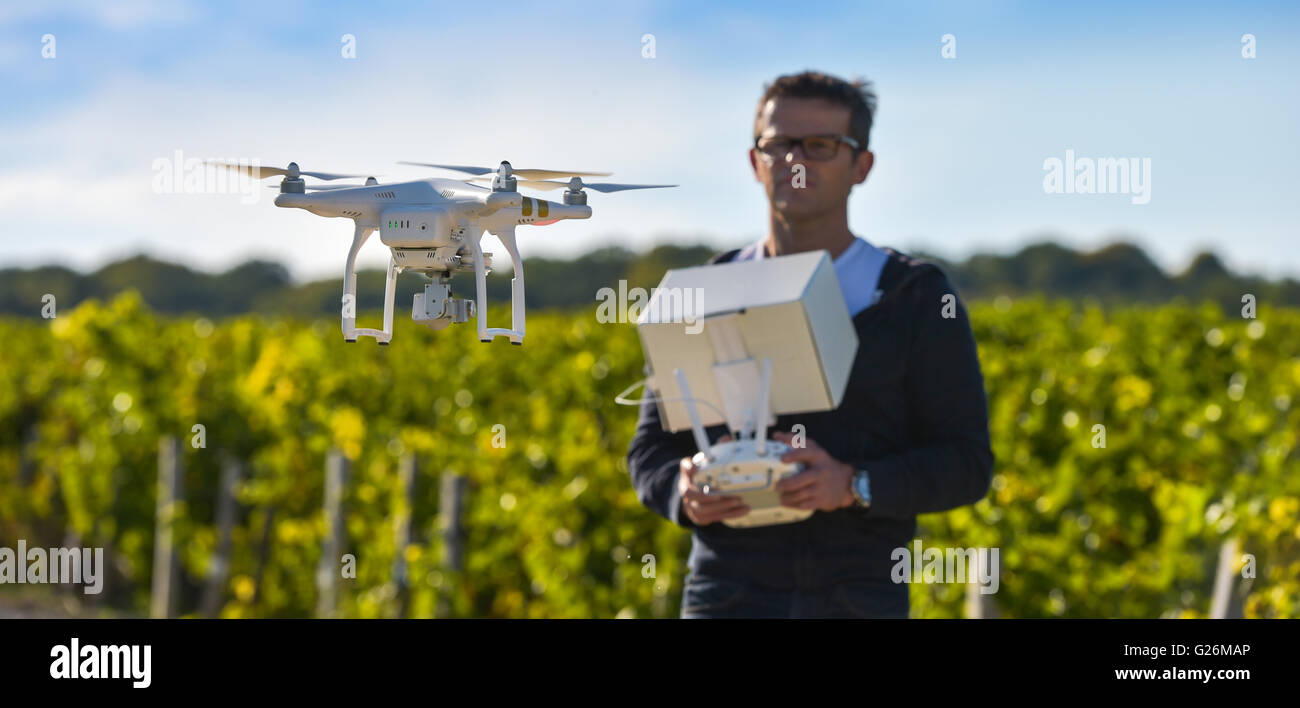 L'uomo flying drone in vigneto, Champagne, Francia Foto Stock