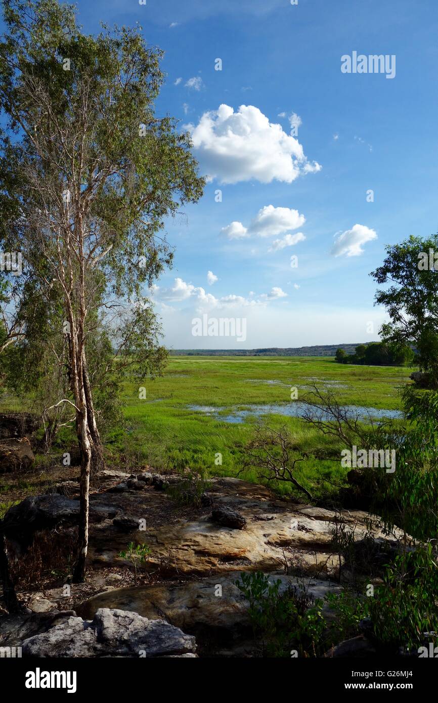 Vista delle pianure alluvionali e le zone umide di Arnhem Land, Territorio del Nord, l'Australia nei pressi di Cooper Creek. Foto Stock