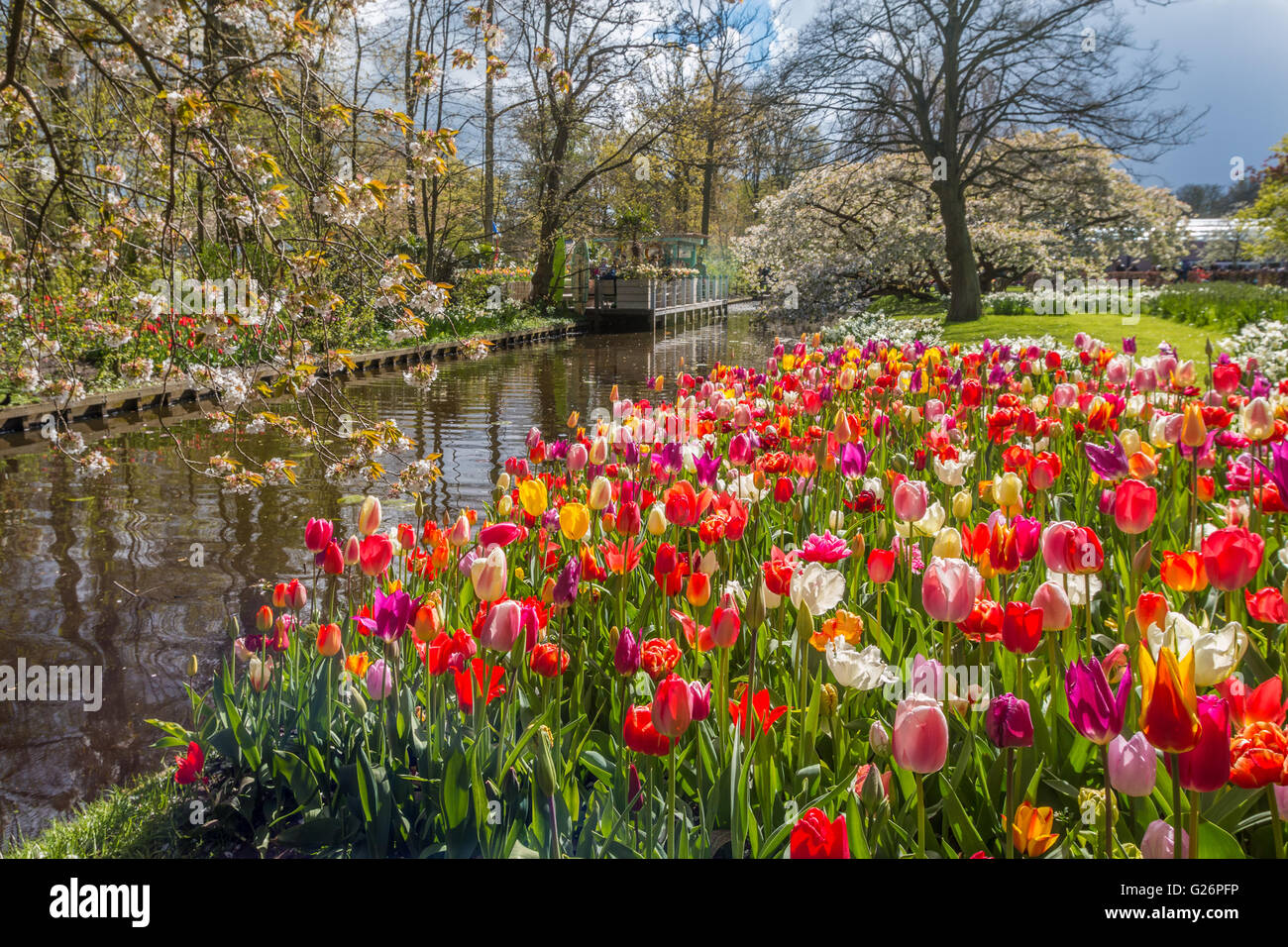 Spring Garden in Olanda Foto Stock