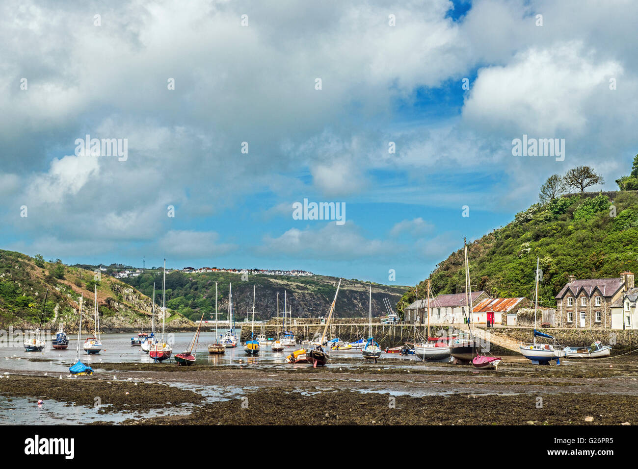 Il piccolo villaggio di pescatori di abbassare Fishguard, o Abergwaun, Il Pembrokeshire Coast nel Galles occidentale dove sotto latte il legno è stato filmato Foto Stock