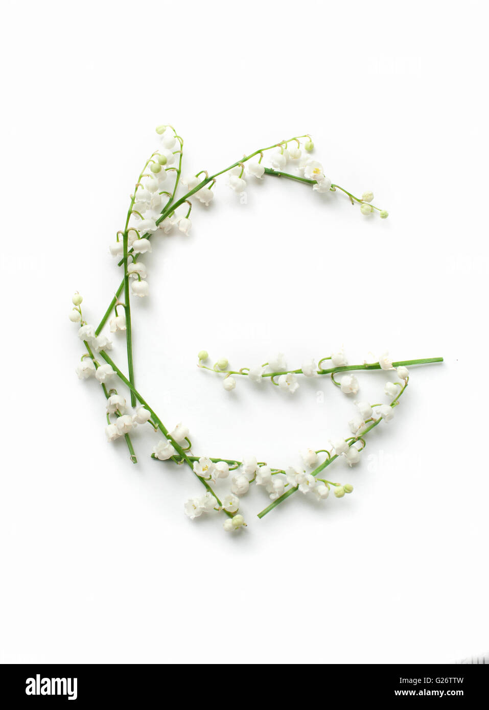 Alfabeto inglese da fiore lettere. decorativi creativo lettera G Foto Stock